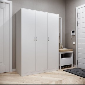 Шкаф ОРИОН трехдверный, цвет белый в Покачах - pokachi.ok-mebel.com | фото 2