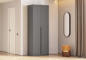 Шкаф платяной Даиго в Покачах - pokachi.ok-mebel.com | фото 3