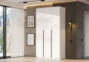 Шкаф платяной Даиго в Покачах - pokachi.ok-mebel.com | фото 3