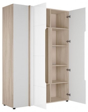 Шкаф платяной Данк в Покачах - pokachi.ok-mebel.com | фото 2