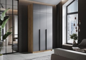 Шкаф платяной Широн в Покачах - pokachi.ok-mebel.com | фото 4