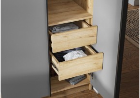 Шкаф платяной Широн в Покачах - pokachi.ok-mebel.com | фото 3