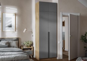 Шкаф платяной Широн в Покачах - pokachi.ok-mebel.com | фото 4