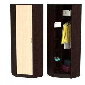 Шкаф платяной ШП-10 в Покачах - pokachi.ok-mebel.com | фото 2