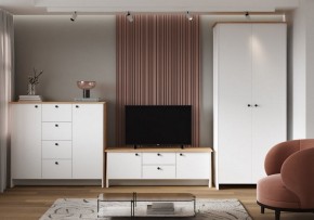 Шкаф платяной Теодора в Покачах - pokachi.ok-mebel.com | фото 4