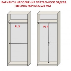 Шкаф распашной серия «ЗЕВС» (PL3/С1/PL2) в Покачах - pokachi.ok-mebel.com | фото 10