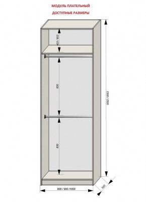 Шкаф распашной серия «ЗЕВС» (PL3/С1/PL2) в Покачах - pokachi.ok-mebel.com | фото 12