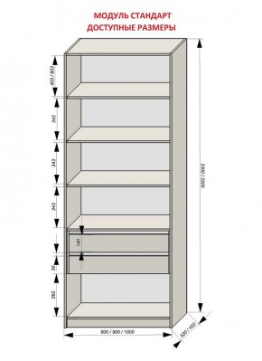 Шкаф распашной серия «ЗЕВС» (PL3/С1/PL2) в Покачах - pokachi.ok-mebel.com | фото 13