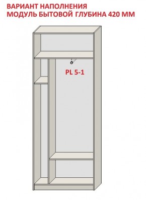 Шкаф распашной серия «ЗЕВС» (PL3/С1/PL2) в Покачах - pokachi.ok-mebel.com | фото 4