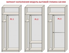 Шкаф распашной серия «ЗЕВС» (PL3/С1/PL2) Серый камень/Небраска натуральный в Покачах - pokachi.ok-mebel.com | фото 5