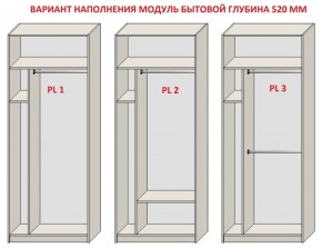 Шкаф распашной серия «ЗЕВС» (PL3/С1/PL2) в Покачах - pokachi.ok-mebel.com | фото 5