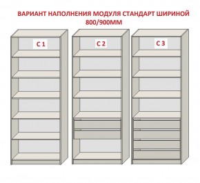 Шкаф распашной серия «ЗЕВС» (PL3/С1/PL2) Серый камень/Небраска натуральный в Покачах - pokachi.ok-mebel.com | фото 6