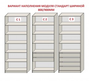 Шкаф распашной серия «ЗЕВС» (PL3/С1/PL2) в Покачах - pokachi.ok-mebel.com | фото 6