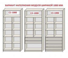 Шкаф распашной серия «ЗЕВС» (PL3/С1/PL2) Серый камень/Небраска натуральный в Покачах - pokachi.ok-mebel.com | фото 7