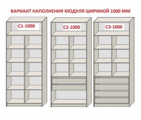 Шкаф распашной серия «ЗЕВС» (PL3/С1/PL2) в Покачах - pokachi.ok-mebel.com | фото 7