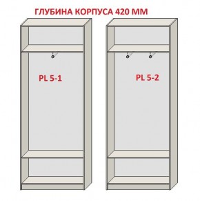 Шкаф распашной серия «ЗЕВС» (PL3/С1/PL2) в Покачах - pokachi.ok-mebel.com | фото 8