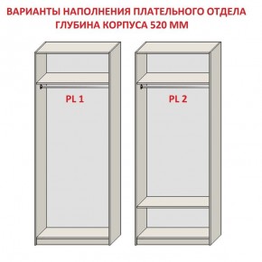 Шкаф распашной серия «ЗЕВС» (PL3/С1/PL2) в Покачах - pokachi.ok-mebel.com | фото 9