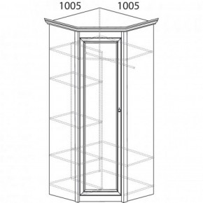 Шкаф угловой №662 "Флоренция" Фасад глухой (угол 1005*1005) Дуб оксфорд в Покачах - pokachi.ok-mebel.com | фото 3