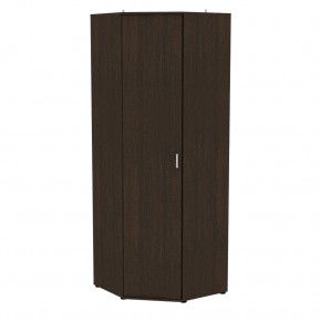 Шкаф угловой Ольга H220 в Покачах - pokachi.ok-mebel.com | фото 6