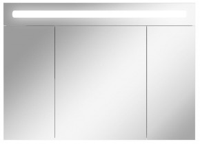 Шкаф-зеркало Аврора 100 с подсветкой LED Домино (DV8012HZ) в Покачах - pokachi.ok-mebel.com | фото