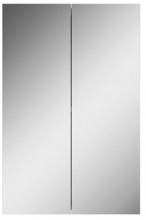 Шкаф-зеркало Норма 45 2 двери АЙСБЕРГ (DA1635HZ) в Покачах - pokachi.ok-mebel.com | фото 4