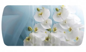 Стол Бостон-3 (Белая Орхидея) 1100/1420*700, опора Брифинг в Покачах - pokachi.ok-mebel.com | фото 2