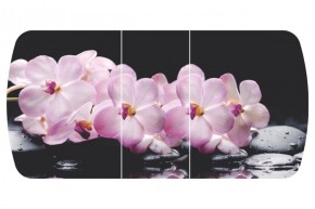 Стол Бостон-3 (Розовая Орхидея) 1100/1420*700, опора Брифинг в Покачах - pokachi.ok-mebel.com | фото 2