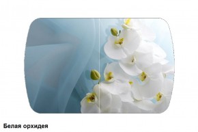 Стол Бостон 900*600 (опоры Брифинг) Стекло/фотопечать Белая Орхидея в Покачах - pokachi.ok-mebel.com | фото