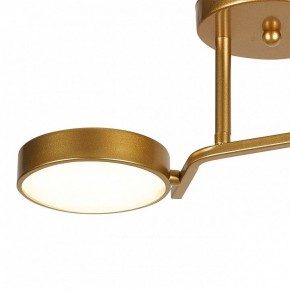 Светильник на штанге Escada Starlight 10273/2LED в Покачах - pokachi.ok-mebel.com | фото 4