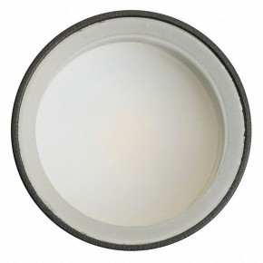 Светильник на штанге Feron ML1001 51371 в Покачах - pokachi.ok-mebel.com | фото 4