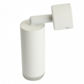 Светильник на штанге Feron ML1021 51390 в Покачах - pokachi.ok-mebel.com | фото 3
