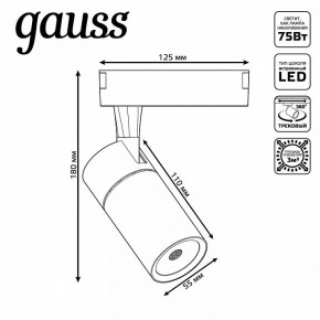 Светильник на штанге Gauss Track Light TR060 в Покачах - pokachi.ok-mebel.com | фото 5