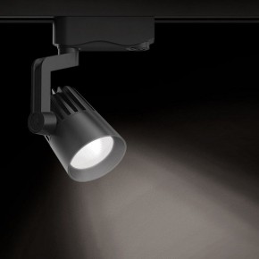 Светильник на штанге Gauss Track Light TR061 в Покачах - pokachi.ok-mebel.com | фото 2