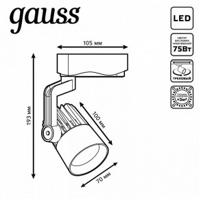 Светильник на штанге Gauss Track Light TR061 в Покачах - pokachi.ok-mebel.com | фото 6