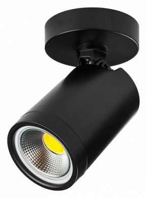 Светильник на штанге Lightstar Rullo 213407 в Покачах - pokachi.ok-mebel.com | фото