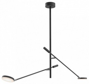 Светильник на штанге Maytoni Fad MOD070CL-L15B3K1 в Покачах - pokachi.ok-mebel.com | фото