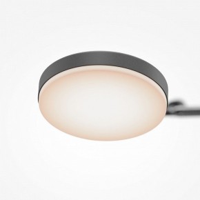 Светильник на штанге Maytoni Fad MOD070CL-L15B3K1 в Покачах - pokachi.ok-mebel.com | фото 7