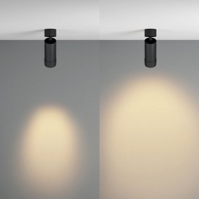 Светильник на штанге Maytoni Focus Zoom C055CL-L12W2.7K-Z-B в Покачах - pokachi.ok-mebel.com | фото 3