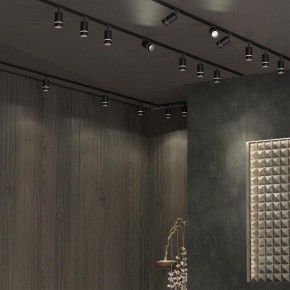 Светильник на штанге Novotech Elina 370777 в Покачах - pokachi.ok-mebel.com | фото 4
