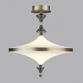 Светильник на штанге Odeon Light Ula 5404/43CL в Покачах - pokachi.ok-mebel.com | фото 3