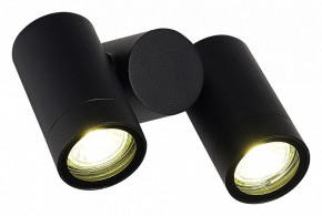 Светильник на штанге ST-Luce Ecollo SL9011.402.02 в Покачах - pokachi.ok-mebel.com | фото 3