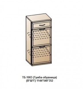 ТБ-1003 (Тумба-обувница) в Покачах - pokachi.ok-mebel.com | фото