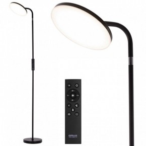 Торшер Citilux SOLO CL804061 в Покачах - pokachi.ok-mebel.com | фото 2