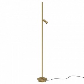 Торшер Maytoni Thin MOD395FL-L28BS3K в Покачах - pokachi.ok-mebel.com | фото