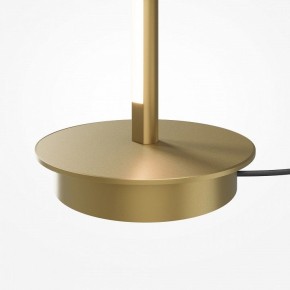 Торшер Maytoni Thin MOD395FL-L28BS3K в Покачах - pokachi.ok-mebel.com | фото 7