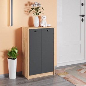Тумба для обуви Рино в Покачах - pokachi.ok-mebel.com | фото 3