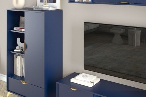 Тумба комбинированная Челси 469.02 в Покачах - pokachi.ok-mebel.com | фото 3