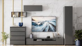 Тумба под ТВ Сибити в Покачах - pokachi.ok-mebel.com | фото 3