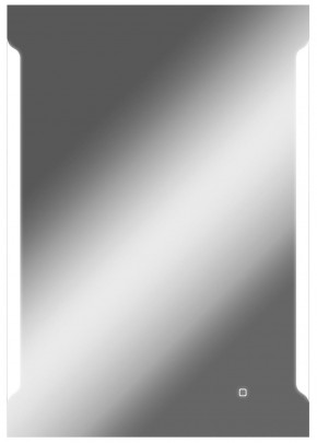 Зеркало Оттава 1000х700 с подсветкой Домино (GL7028Z) в Покачах - pokachi.ok-mebel.com | фото 1